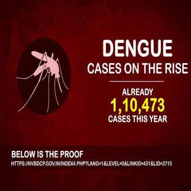 Electric Shock Mosquito Killer Night Lamp